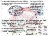 maramaDavidson Twitter NodeXL SNA Map and Report for Thursday, 04 June 2020 at 23:14 UTC