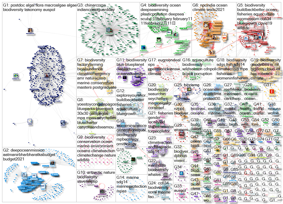 2021-02-12 17-57-10 NodeXL.xlsx