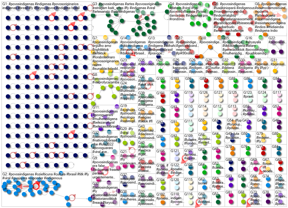 NodeXL tiktok_povosindigenas