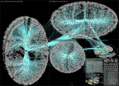 #iOS16 Twitter NodeXL SNA Map and Report for Tuesday, 07 June 2022 at 07:54 UTC