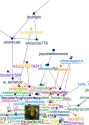 Trump Twitter NodeXL SNA Map and Report for Thursday, 08 August 2024 at 09:32 UTC