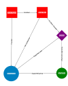 Botswana Social Network Analysis 1.xlsx